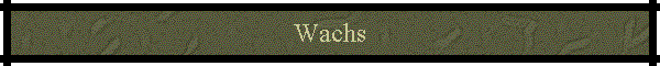 Wachs